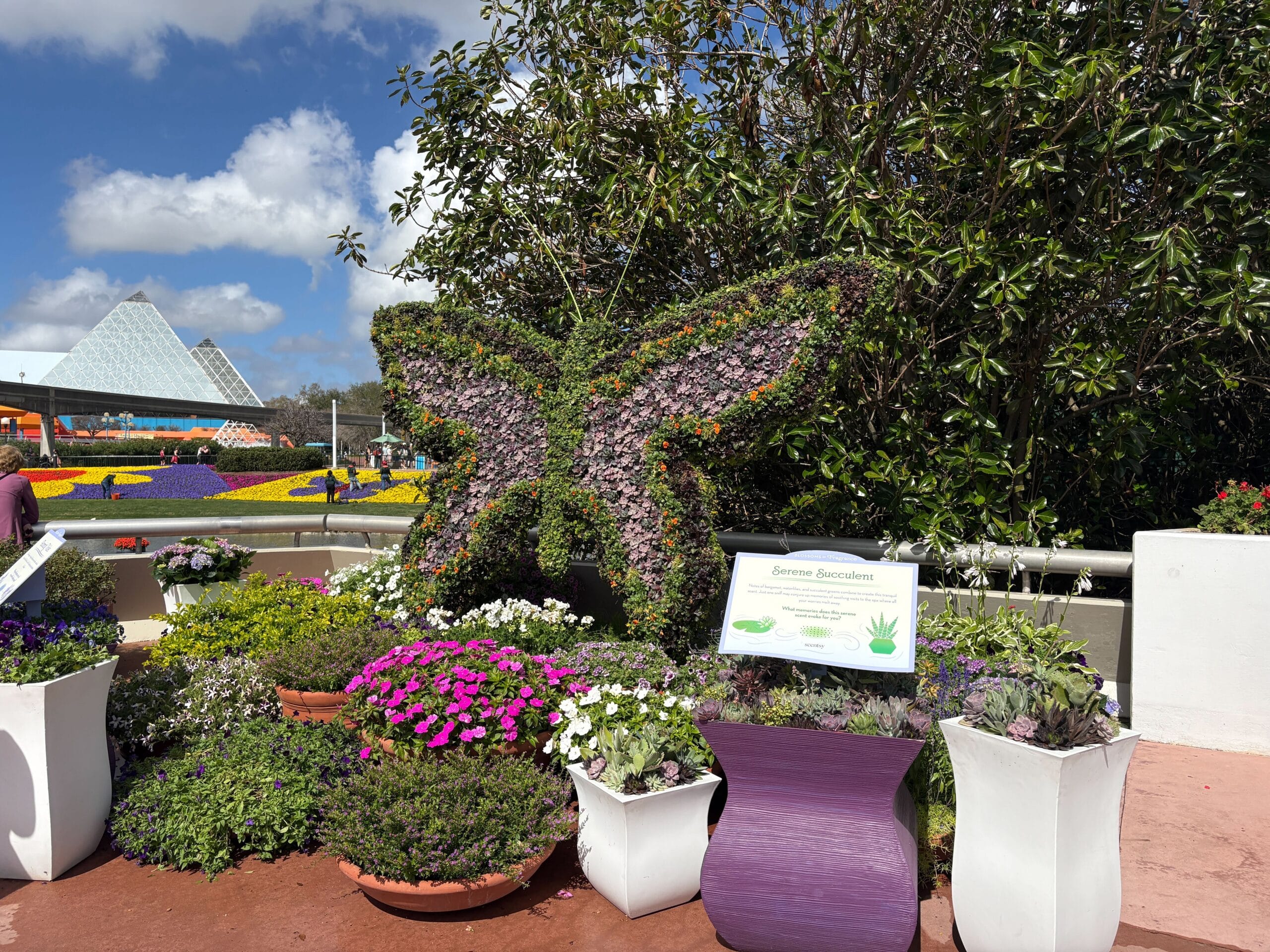 Blossoms of Fragrance Presented by Scentsy