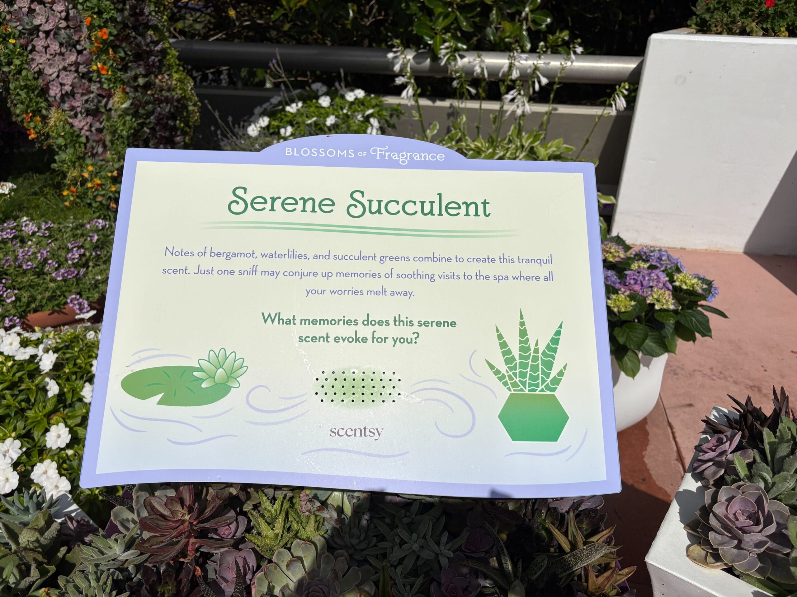 Blossoms of Fragrance Presented by Scentsy