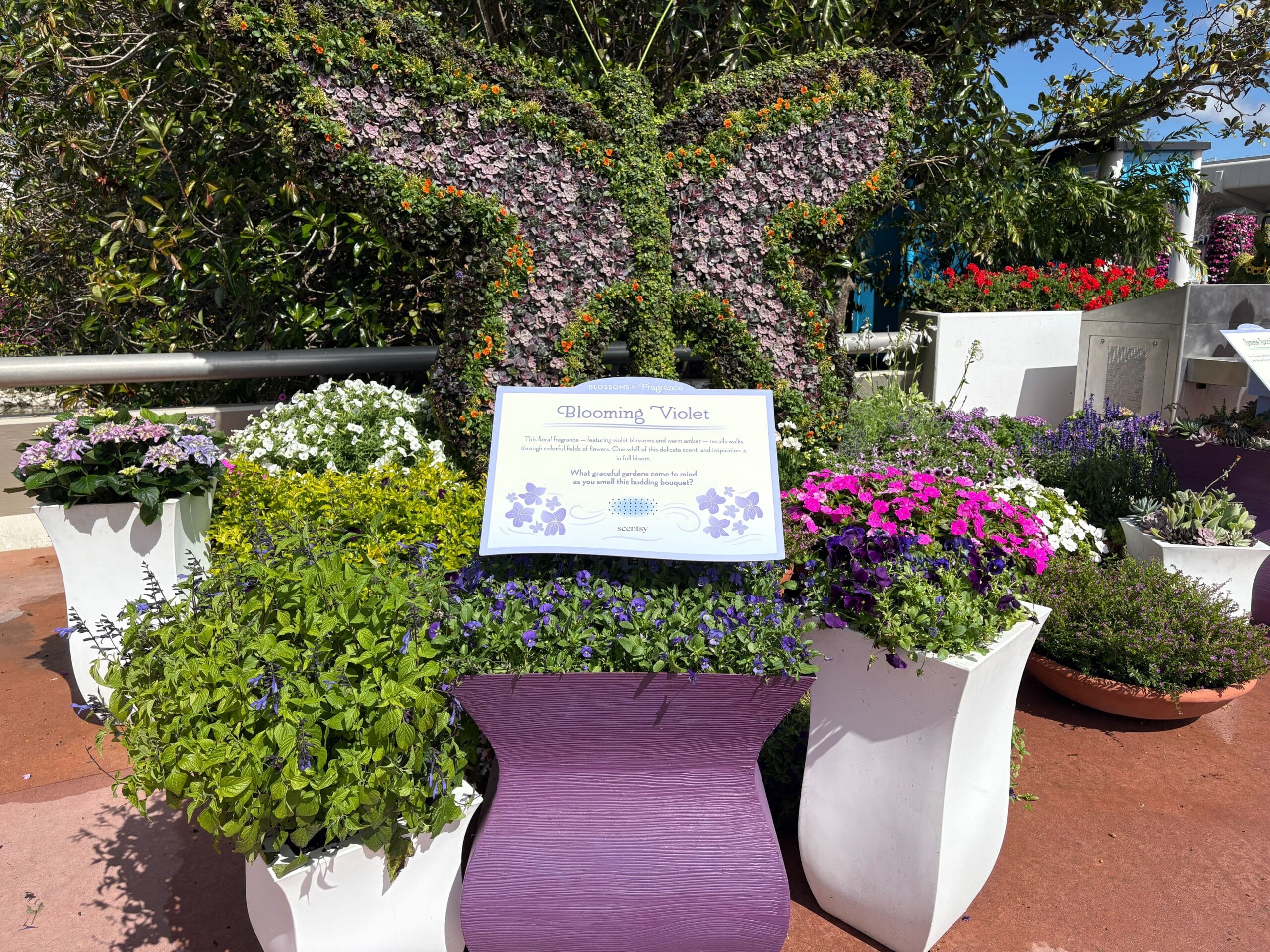 Blossoms of Fragrance Presented by Scentsy