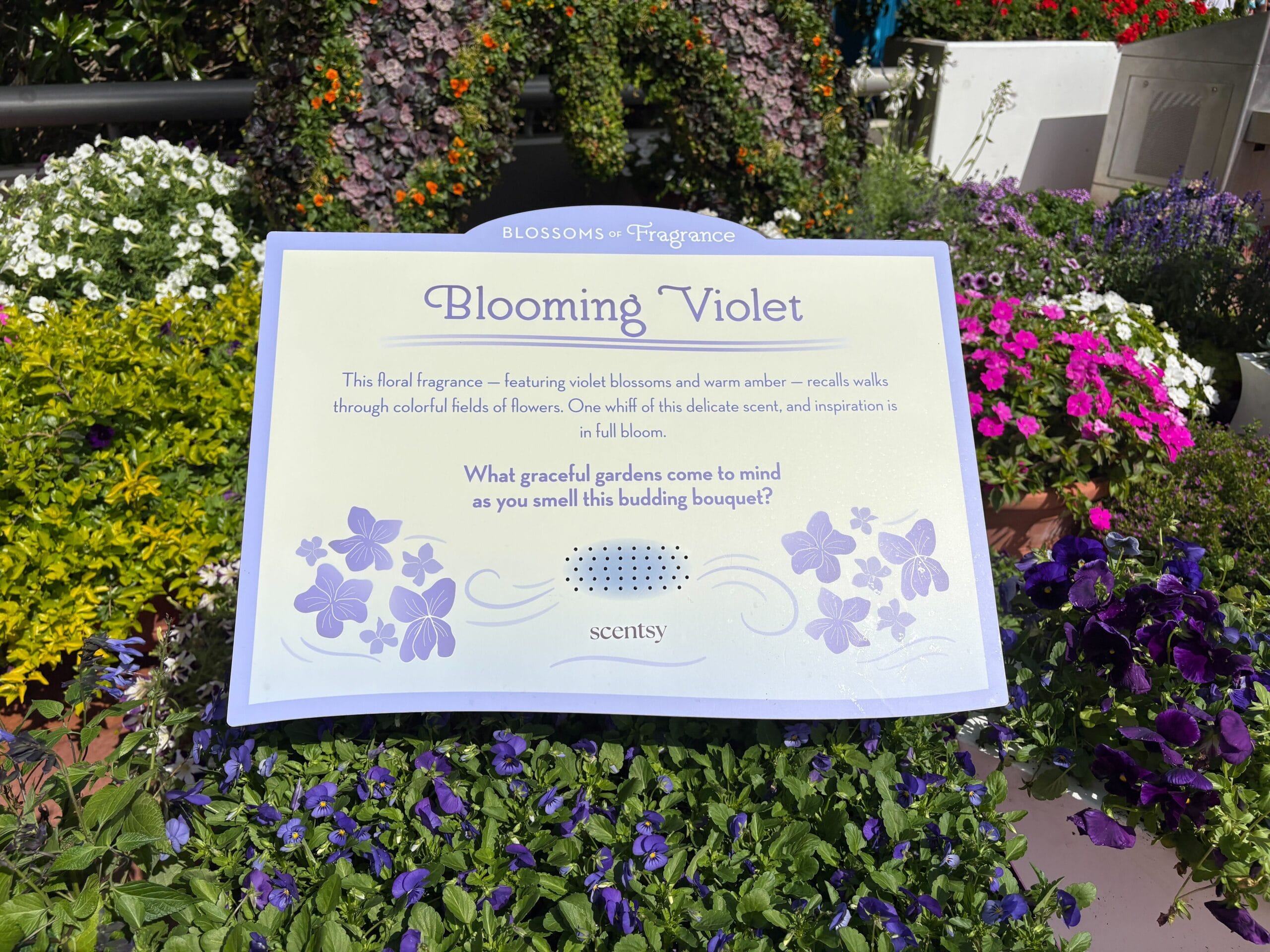 Blossoms of Fragrance Presented by Scentsy