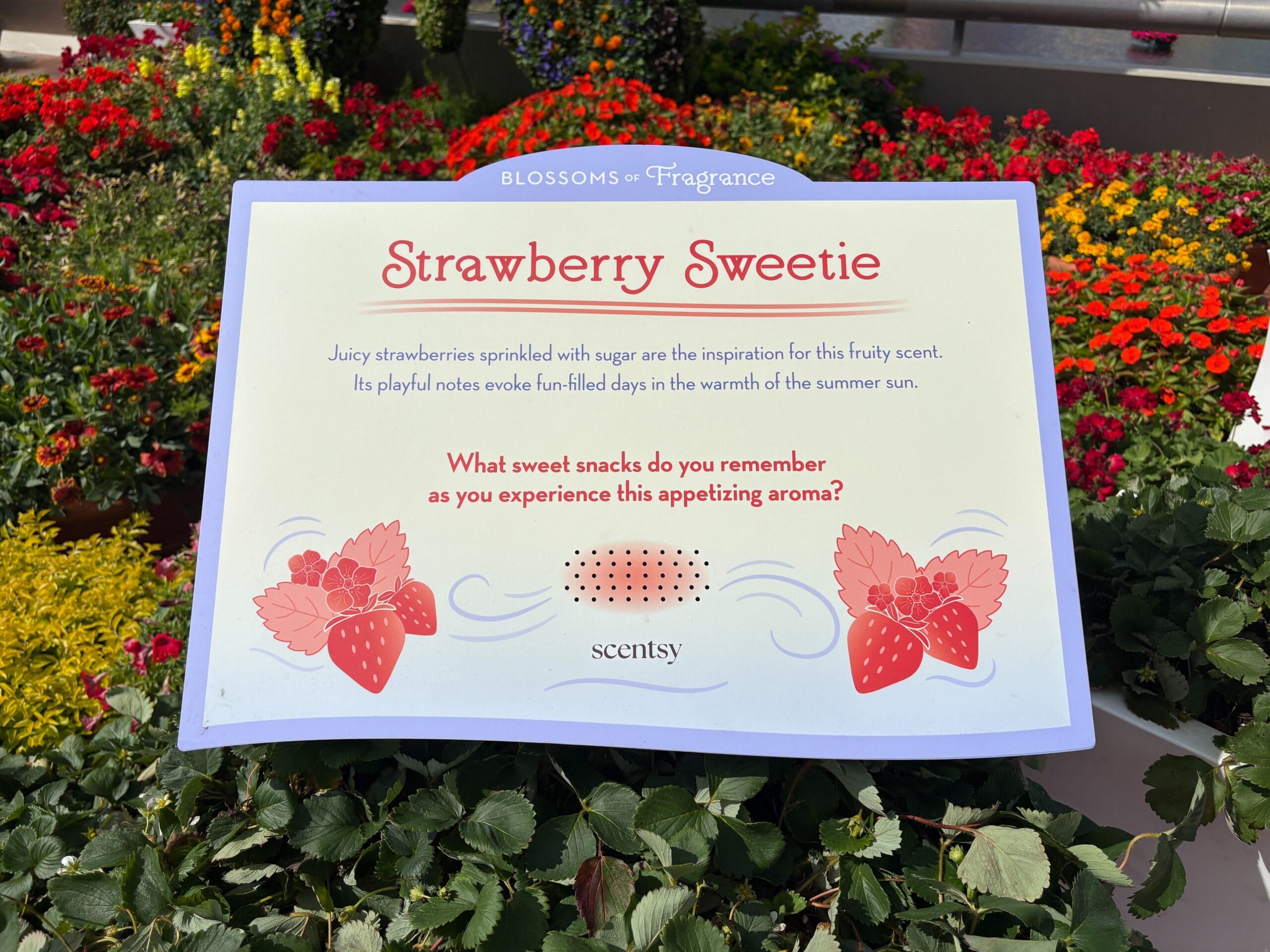 Blossoms of Fragrance Presented by Scentsy