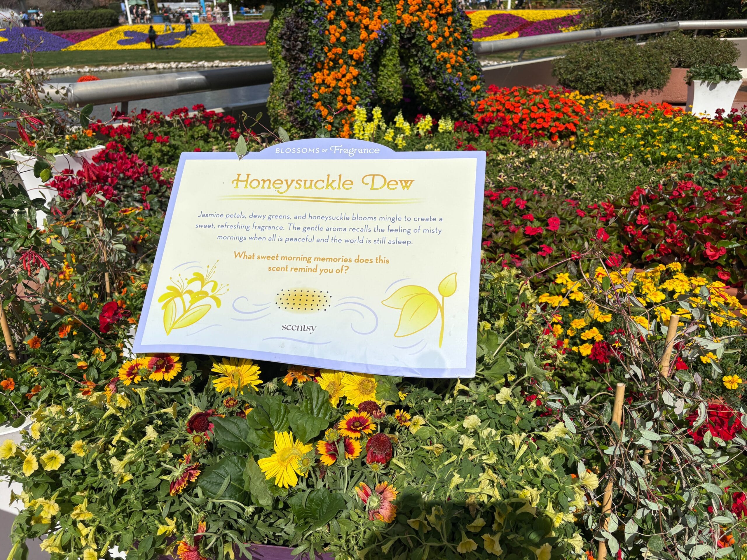 Blossoms of Fragrance Presented by Scentsy