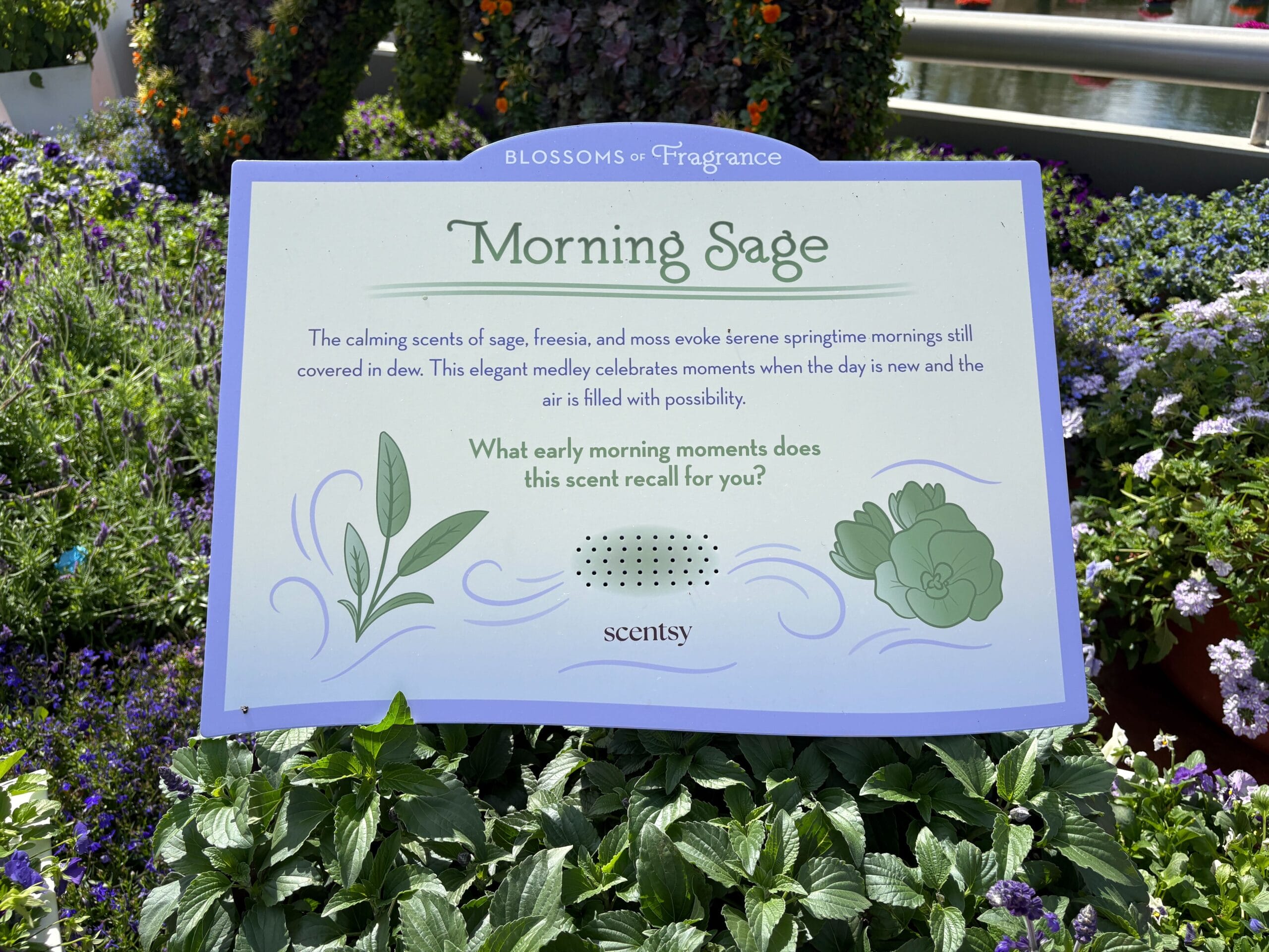 Blossoms of Fragrance Presented by Scentsy