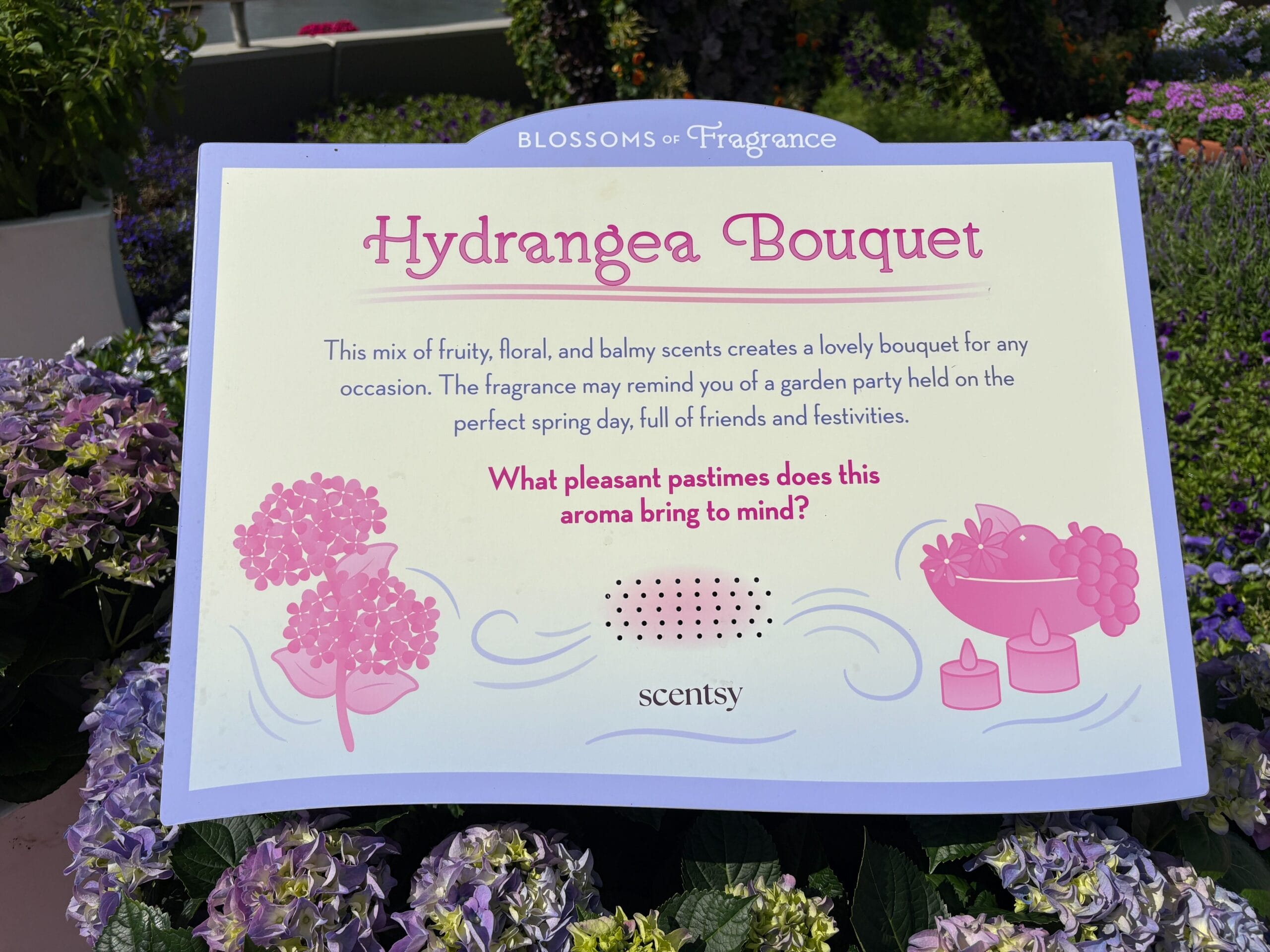 Blossoms of Fragrance Presented by Scentsy