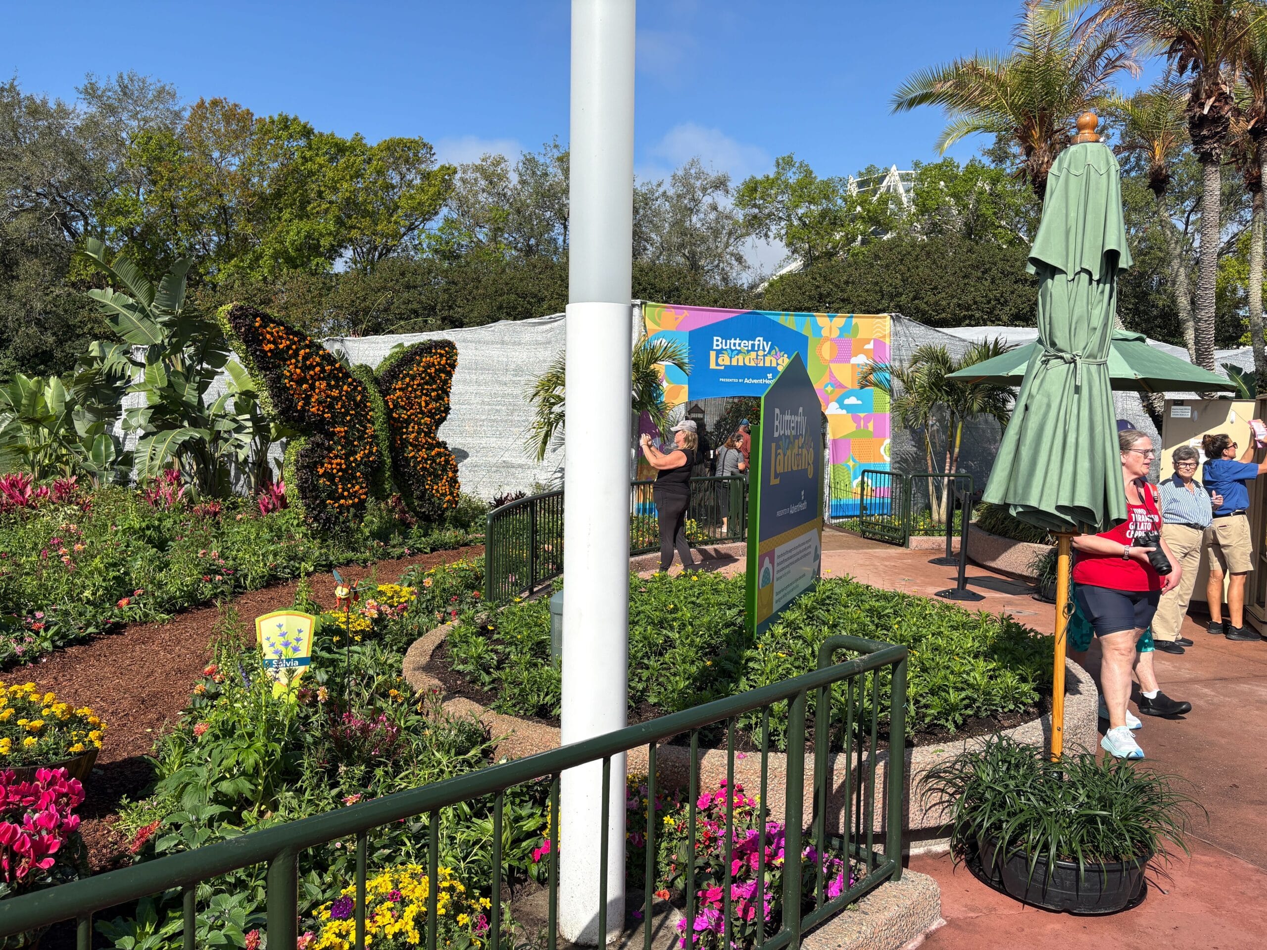 Meet Butterflies at the 2026 EPCOT International Flower & Garden Festival