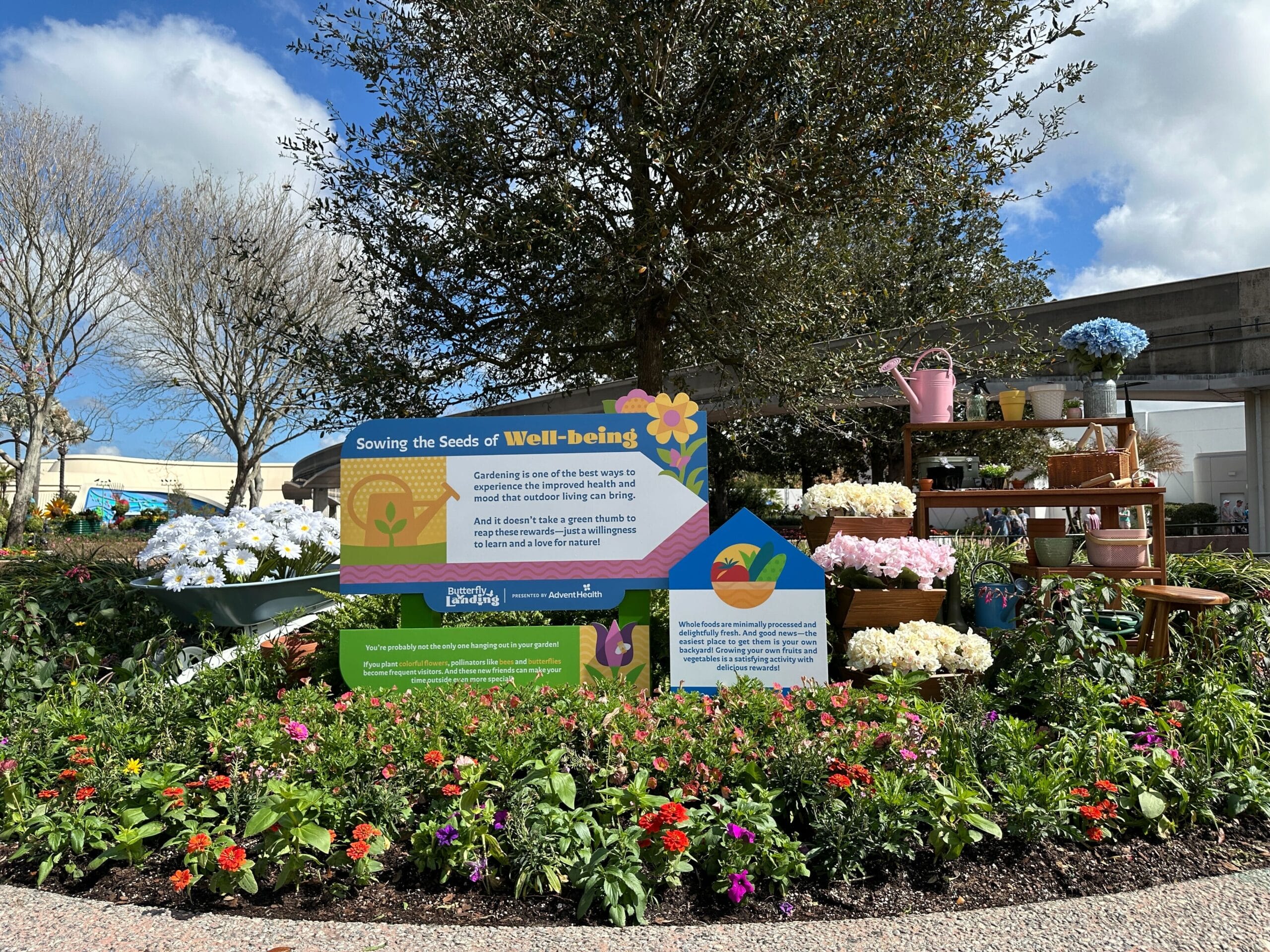 Meet Butterflies at the 2026 EPCOT International Flower & Garden Festival