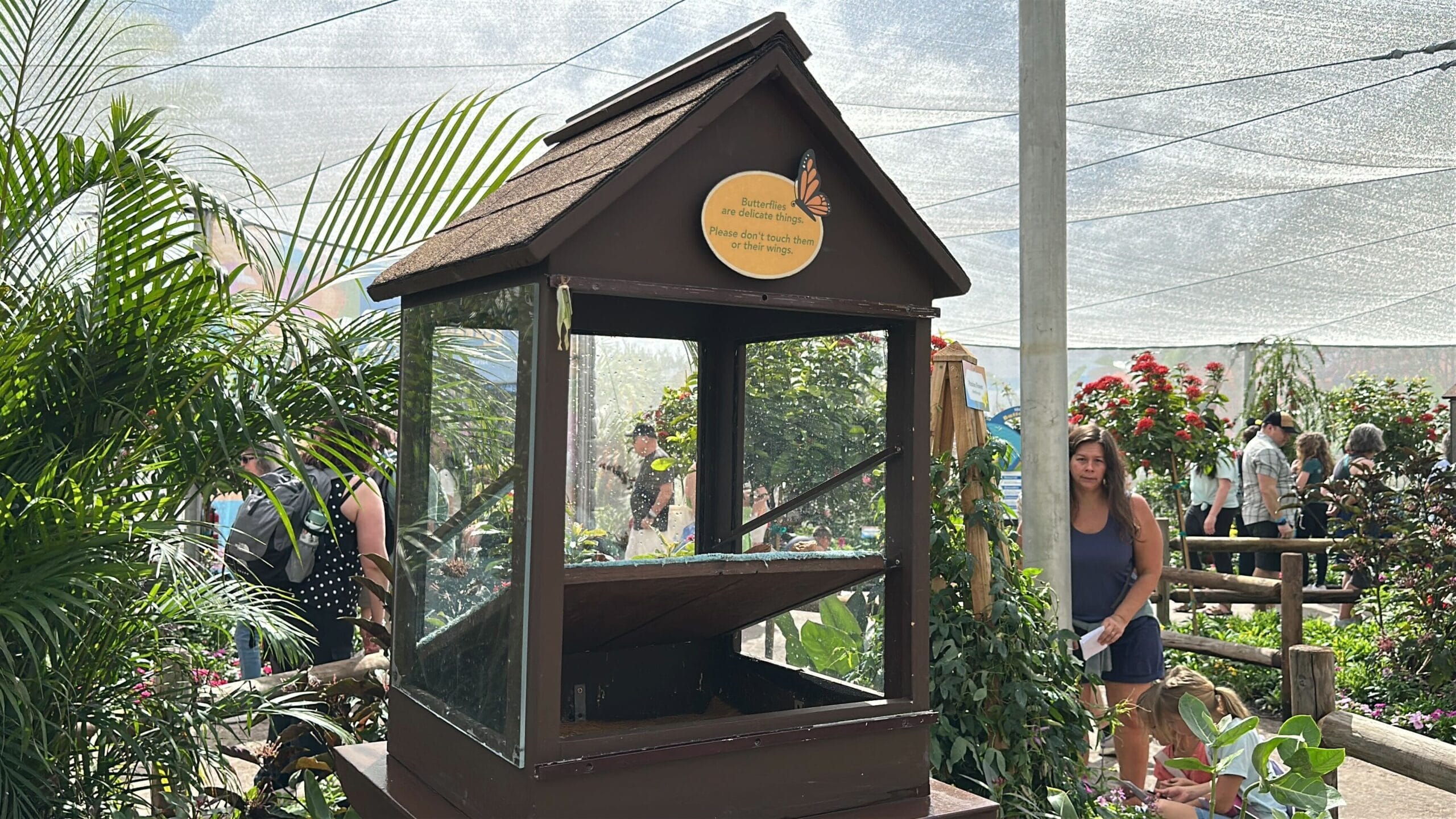 Meet Butterflies at the 2026 EPCOT International Flower & Garden Festival