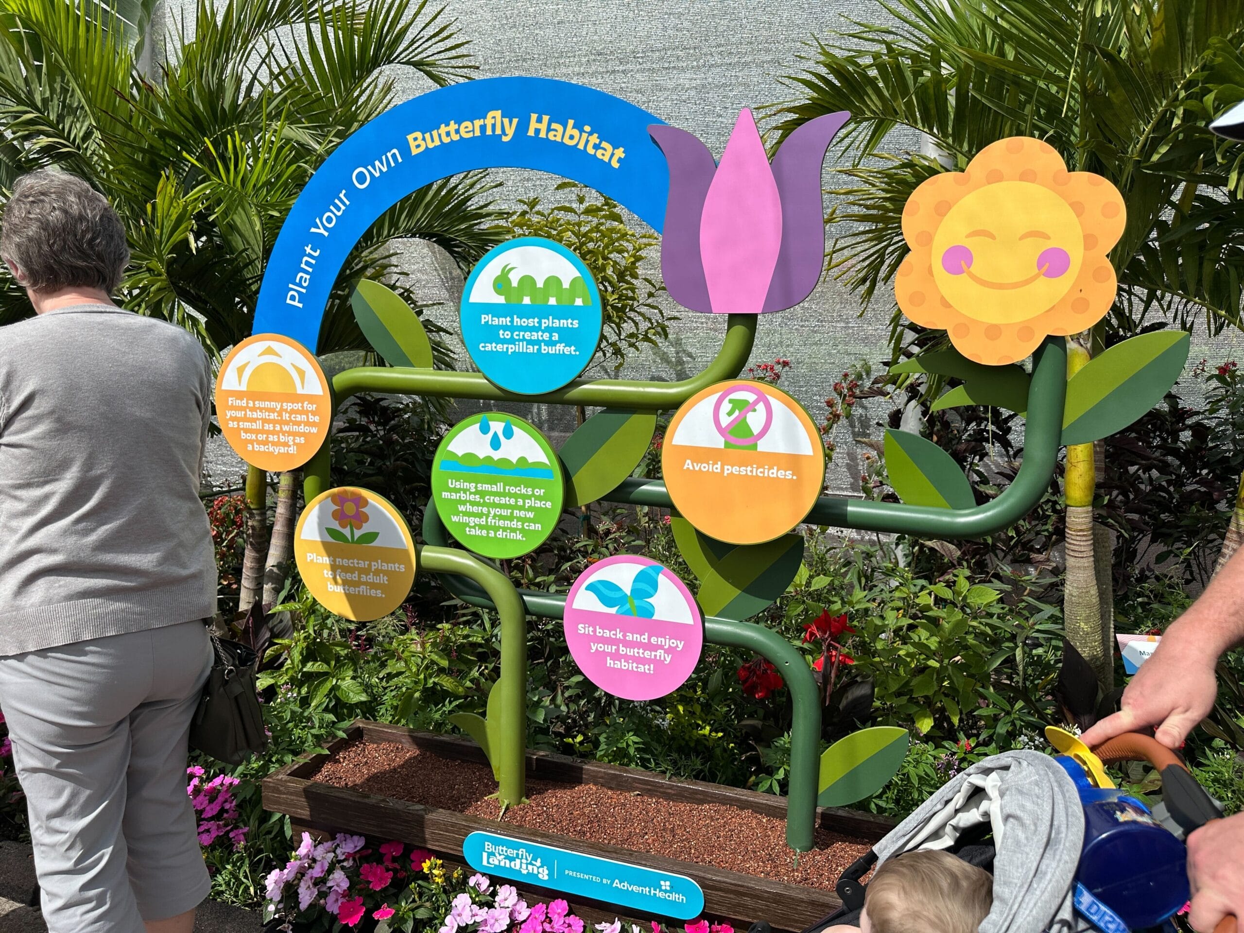 Meet Butterflies at the 2026 EPCOT International Flower & Garden Festival