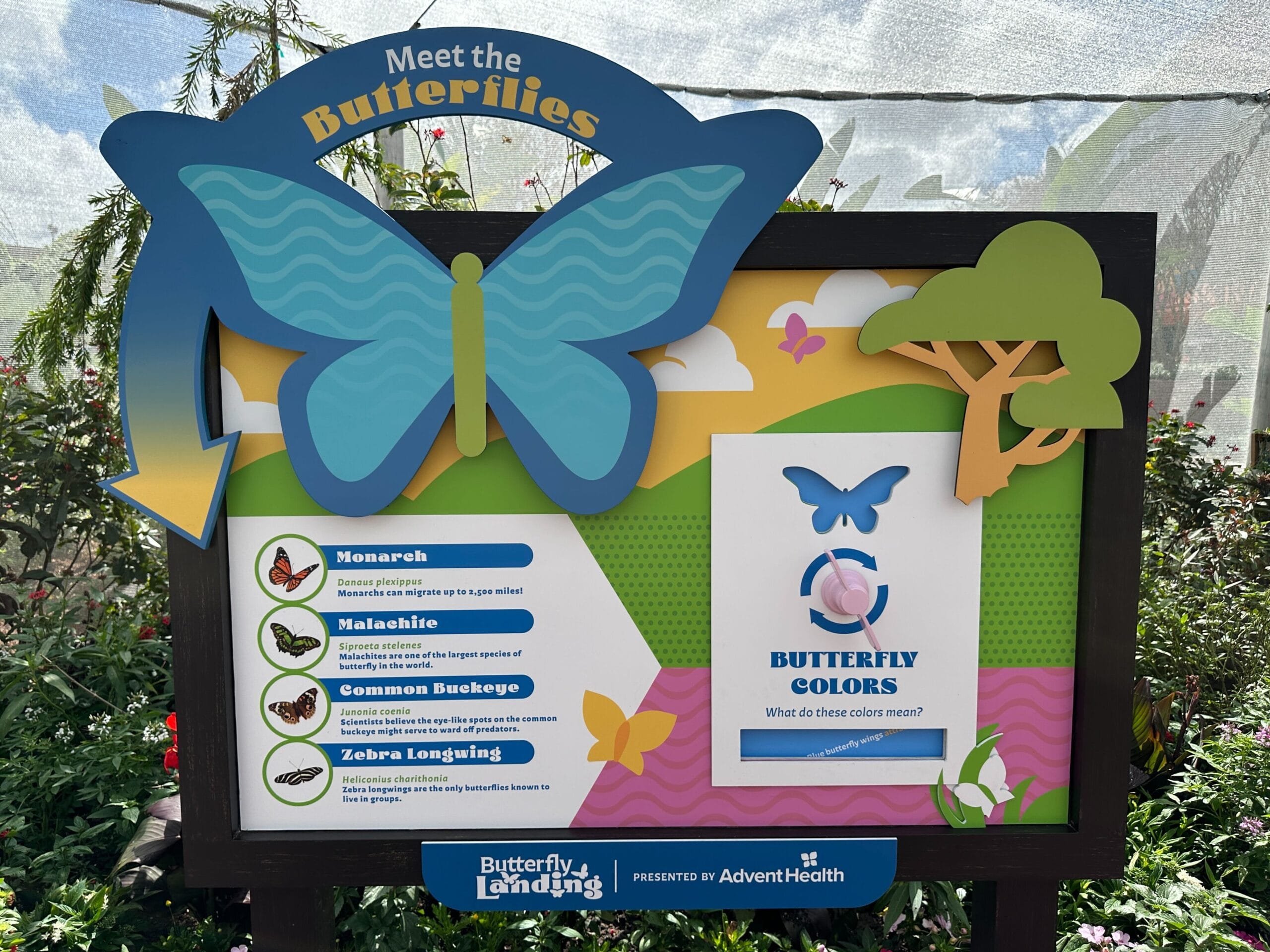 Meet Butterflies at the 2026 EPCOT International Flower & Garden Festival