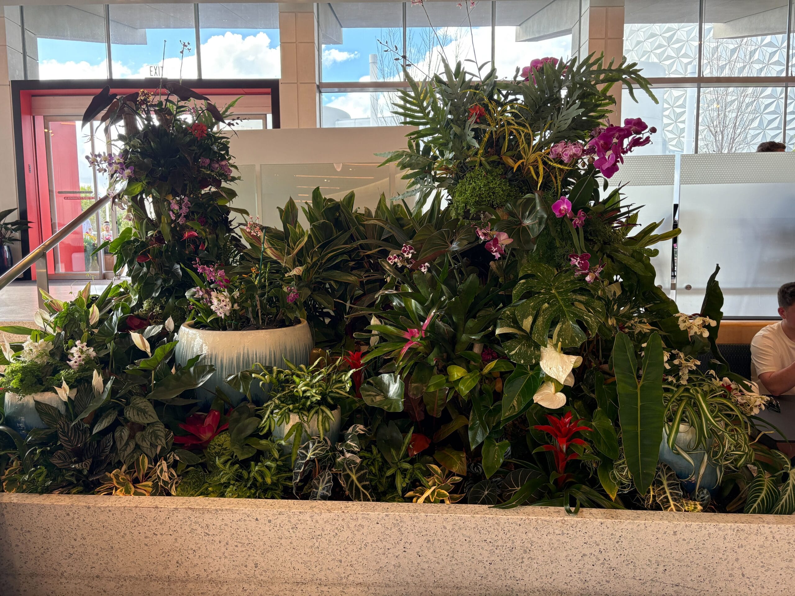 Connections Conservatory Garden