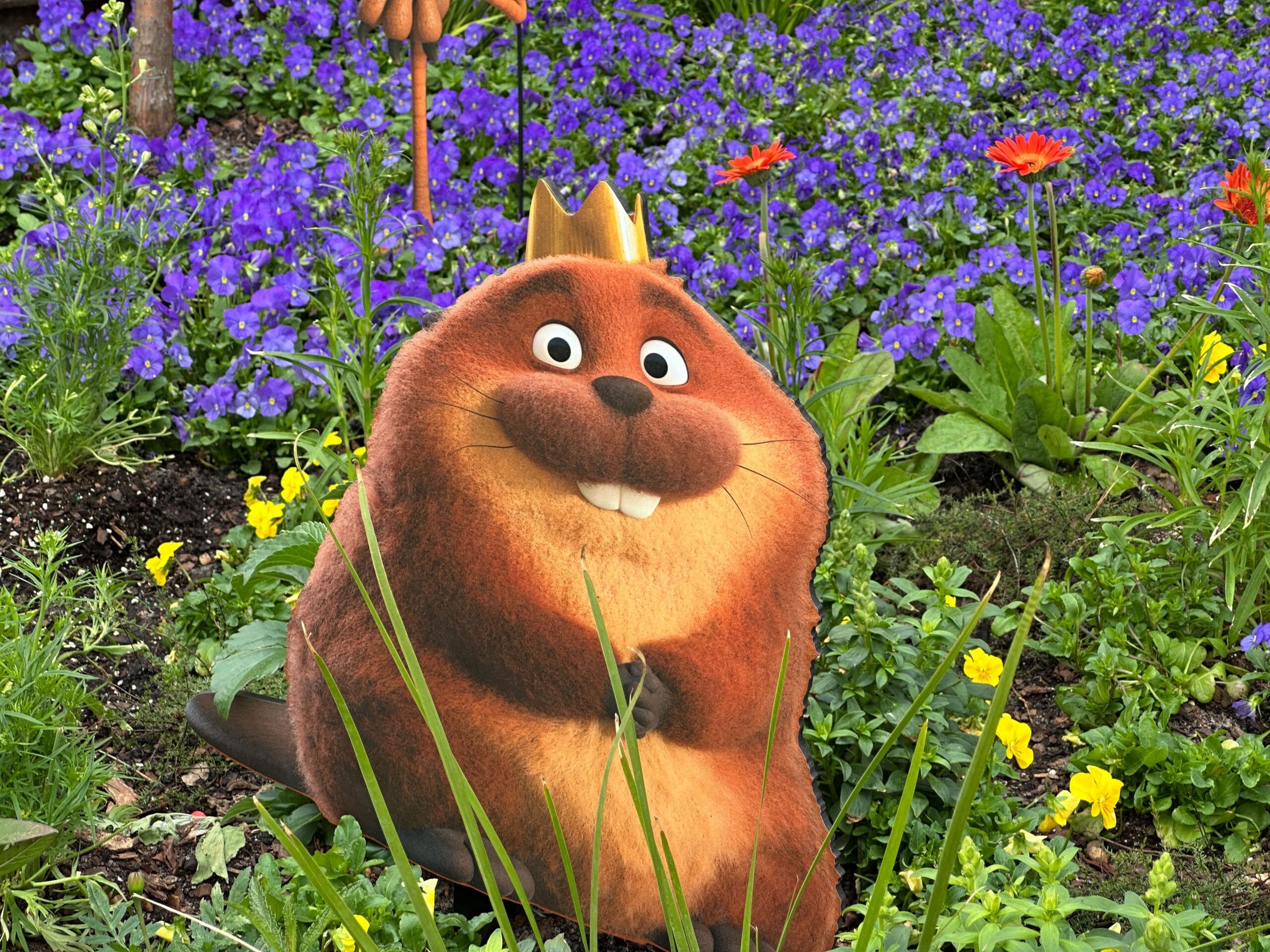 Hoppers Wildlife Crossing Garden at EPCOT