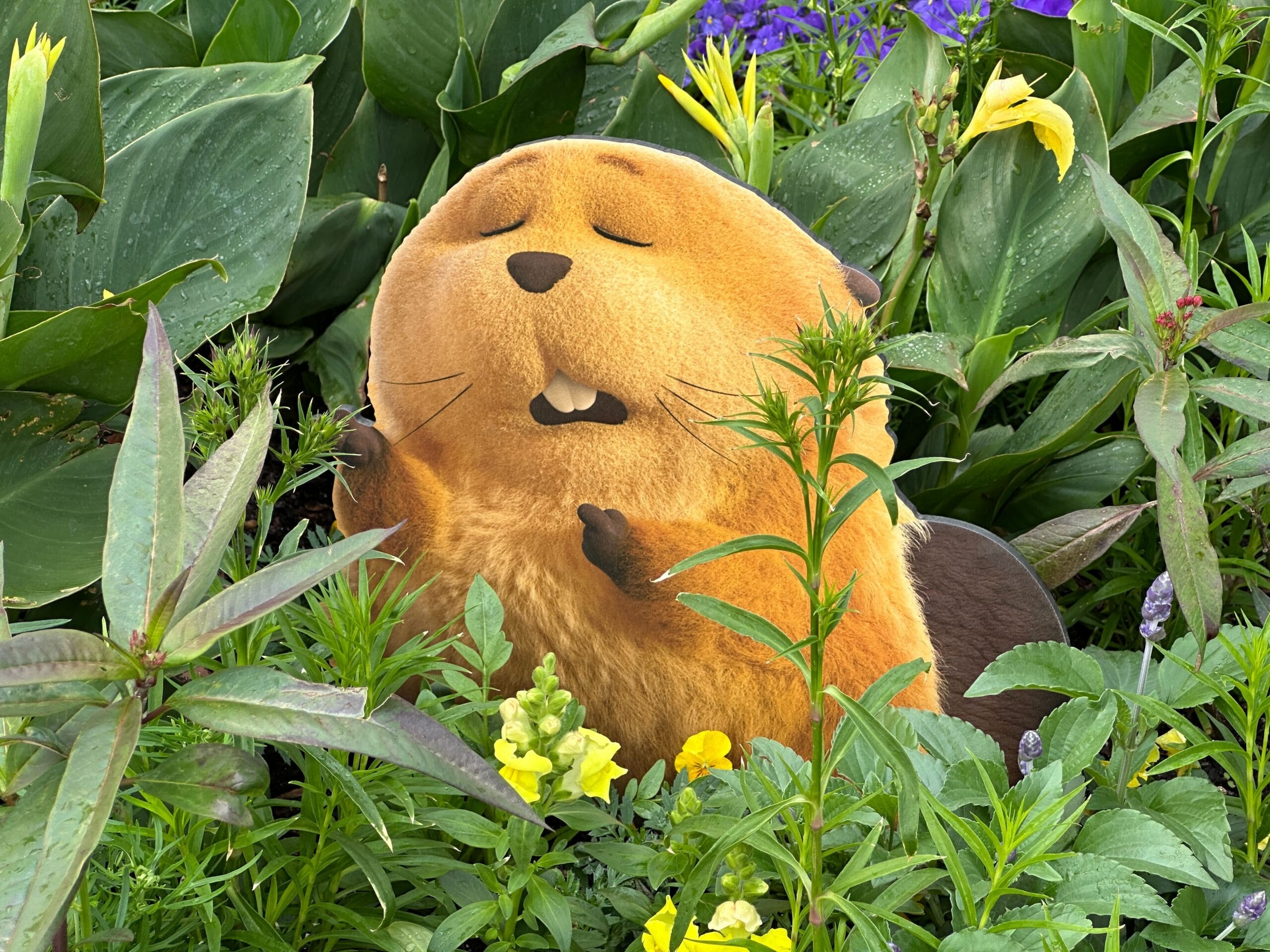 Hoppers Wildlife Crossing Garden at EPCOT