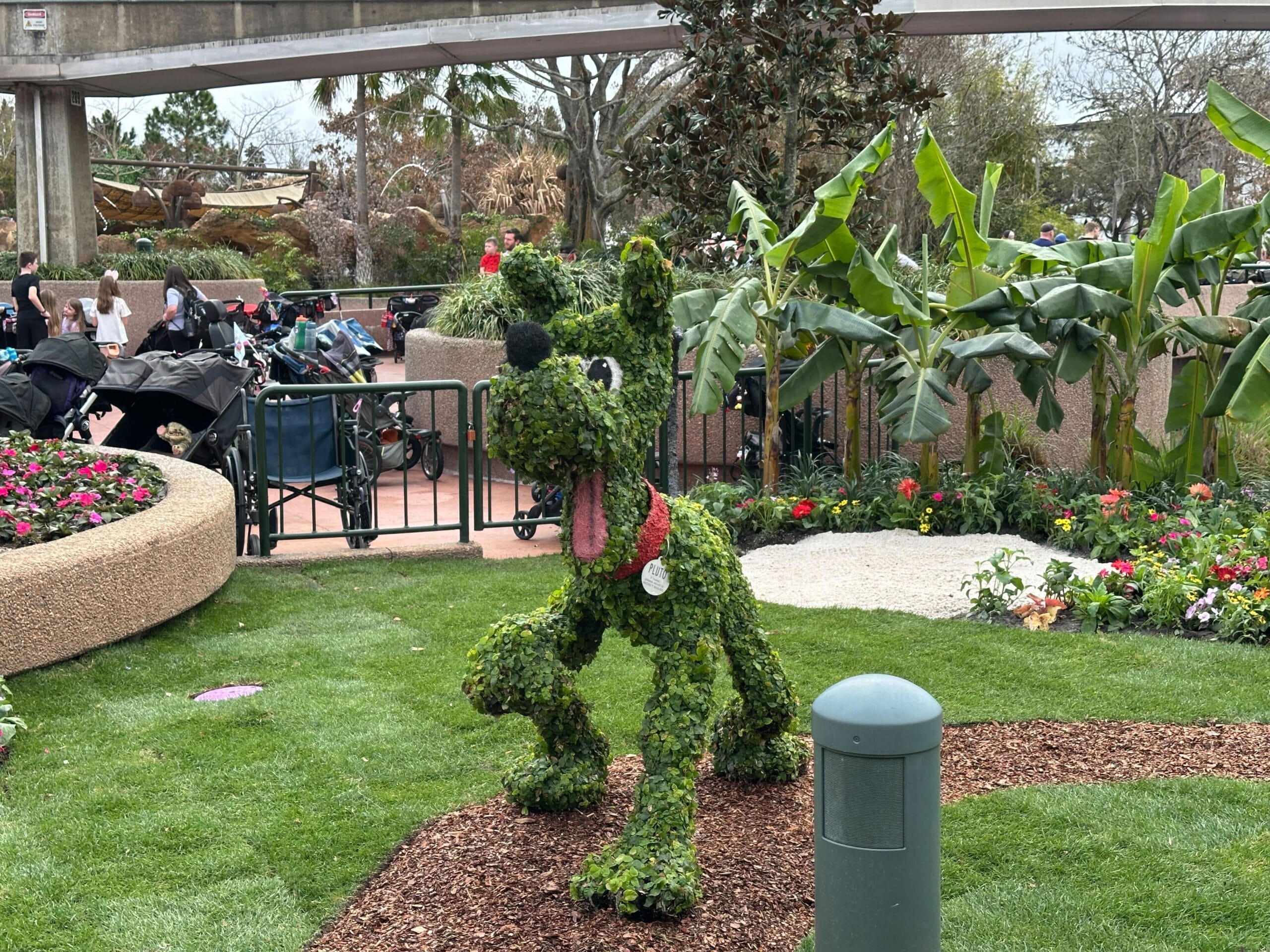 Pluto Topiary at EPCOT
