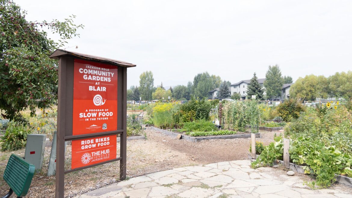 Trade seeds, advice at community seed swap Wednesday