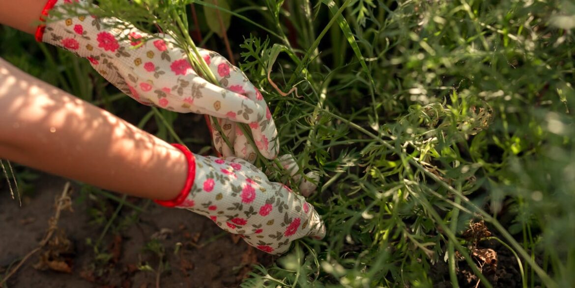 Skipping This One Gardening Job In March Will Help Wildlife (And Save You Time) Skipping This One Gardening Job In March Will Help Wildlife (And Save You Time)