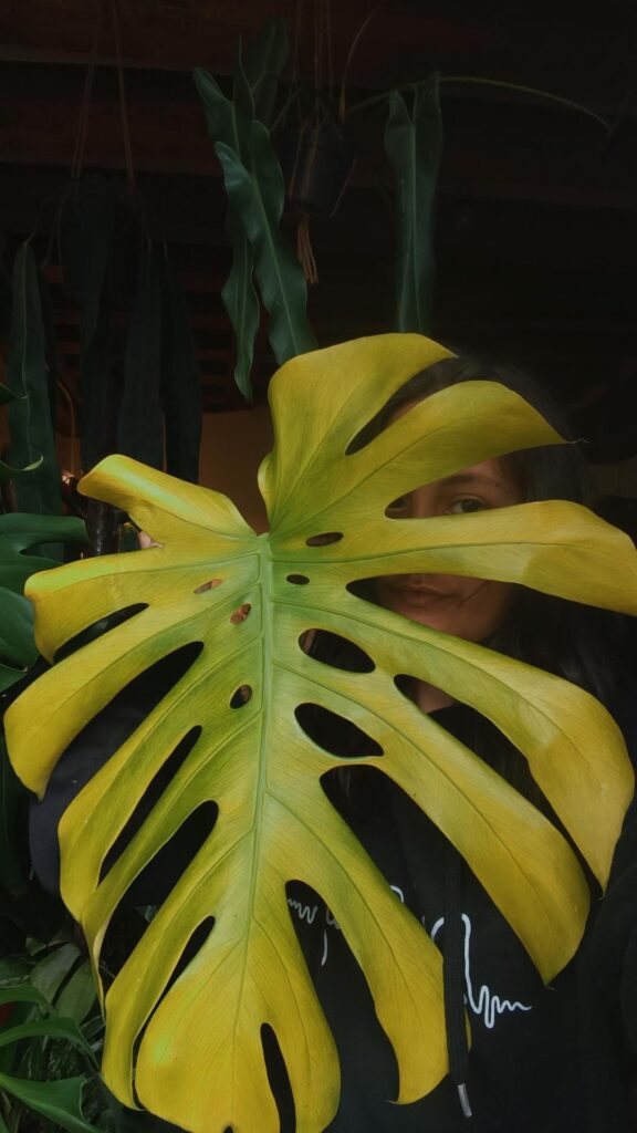 Look how good I look holding this complete failure! Plants die, but style is forever.