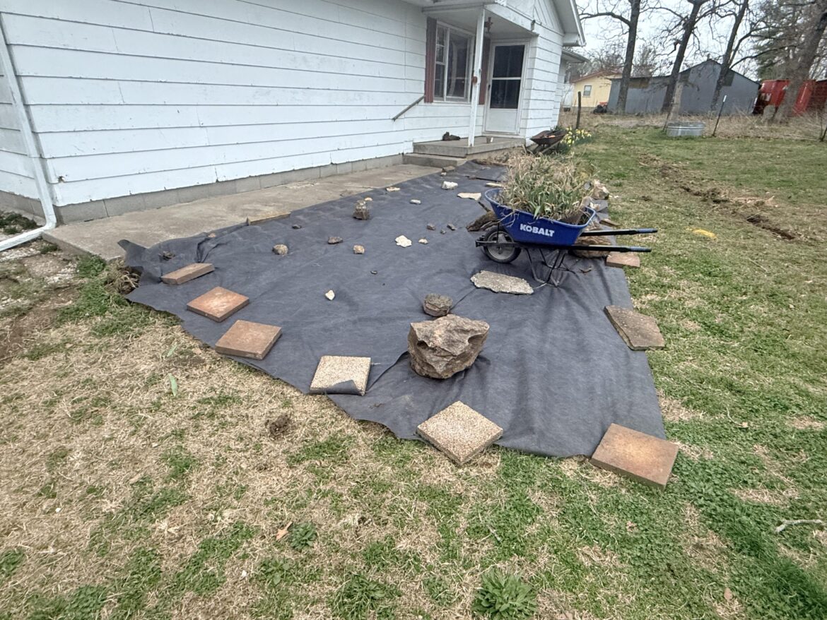 Alright, I’m tackling this on my own, I ordered some Indian grass seeds, how do I plant in the weed barrier? Do I start them and plant plugs or just cut holes and place some seeds? I’m fairly new and the landscaping side so don’t be to harsh. Missouri