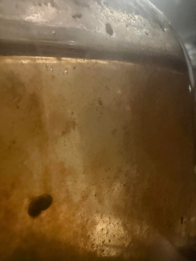 Frankenjarrarium?