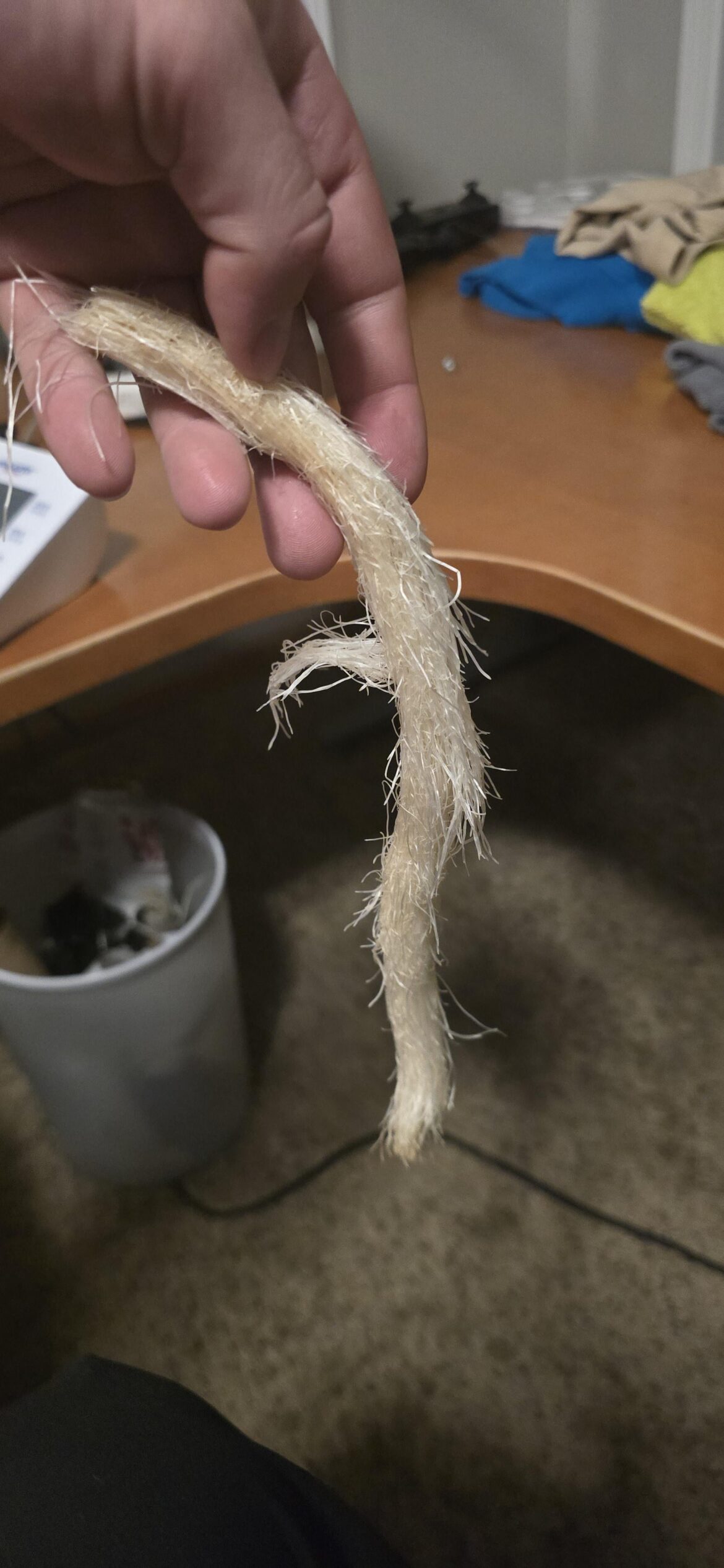Roots clogged pipe and I broke some roots off...help