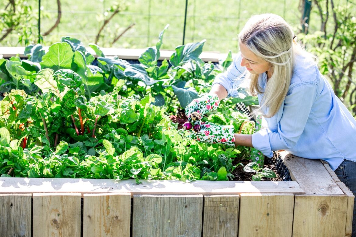 10 Fastest-Growing Vegetables, Herbs, and Fruits for Gardens 10 Fastest-Growing Vegetables, Herbs, and Fruits for Gardens