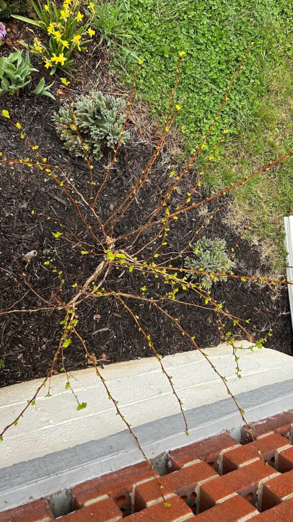 My babies are waking up!