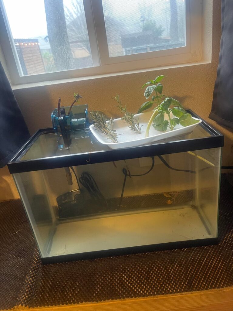 Window garden in my new tiny home