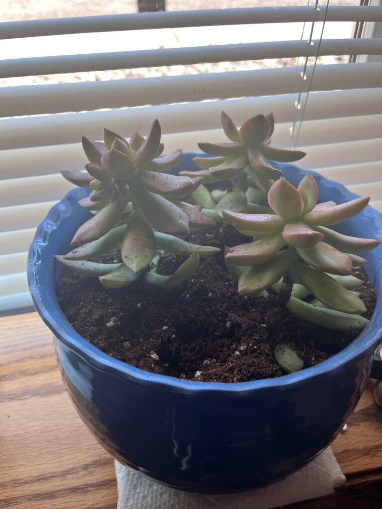 Am I doing this right??