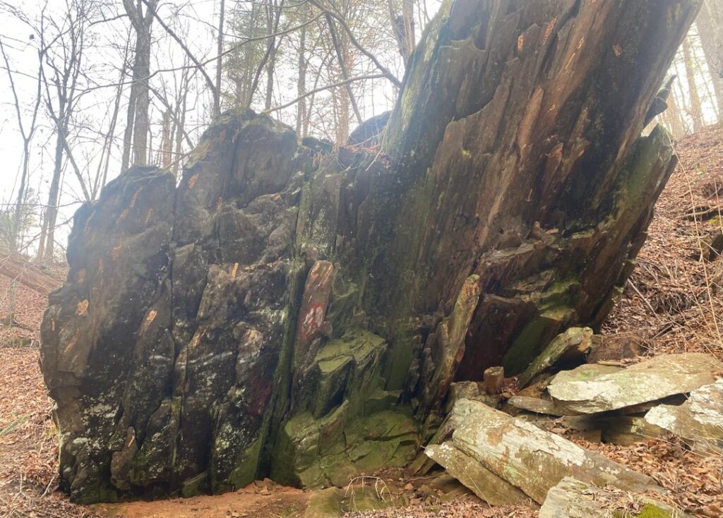 Ideas/uses for our little “cave”?