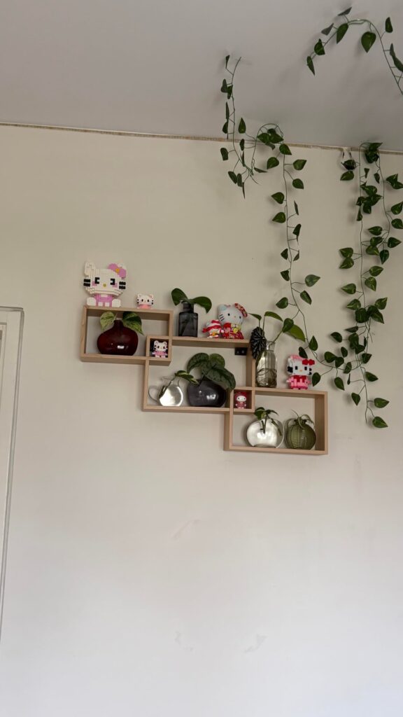 What plants would you recommend to put there?