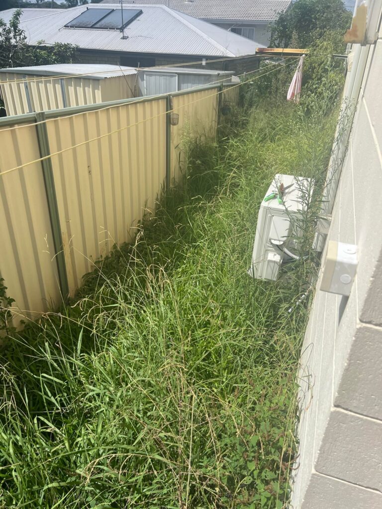 How to transform this abandoned yard?