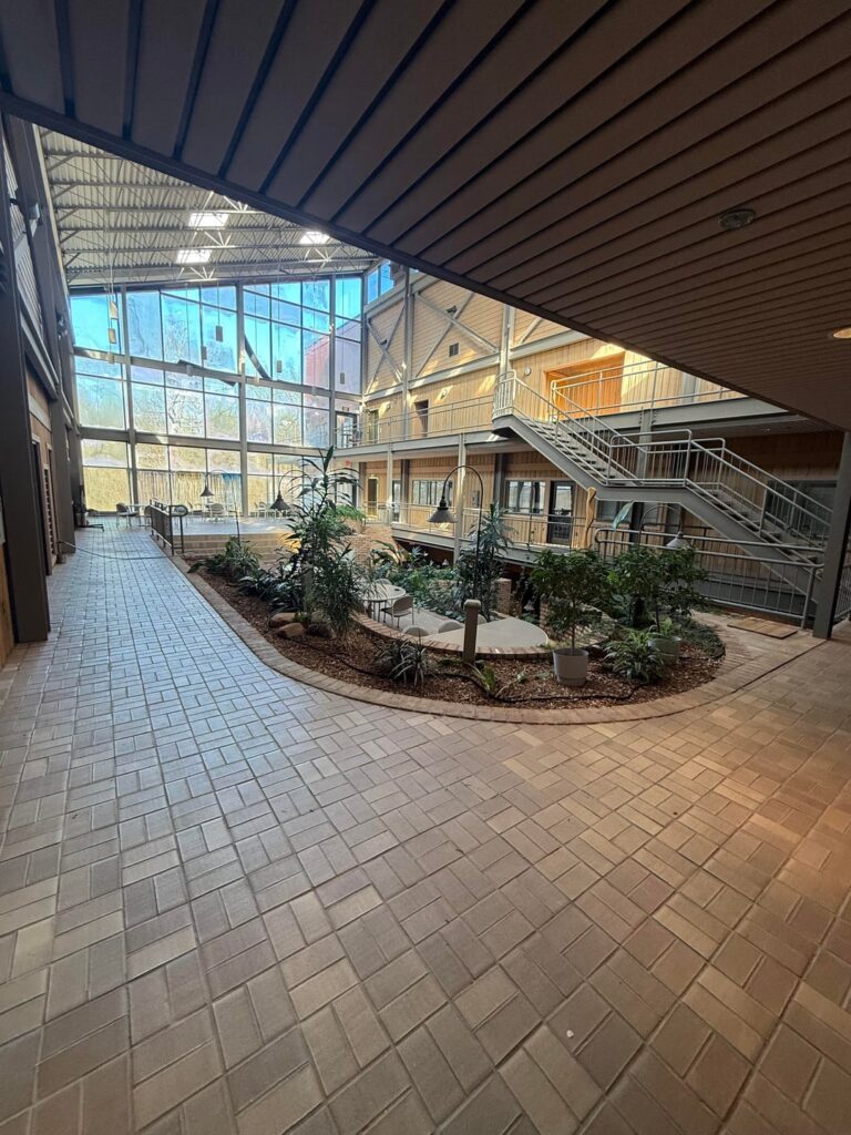 Atrium plants Atrium plants