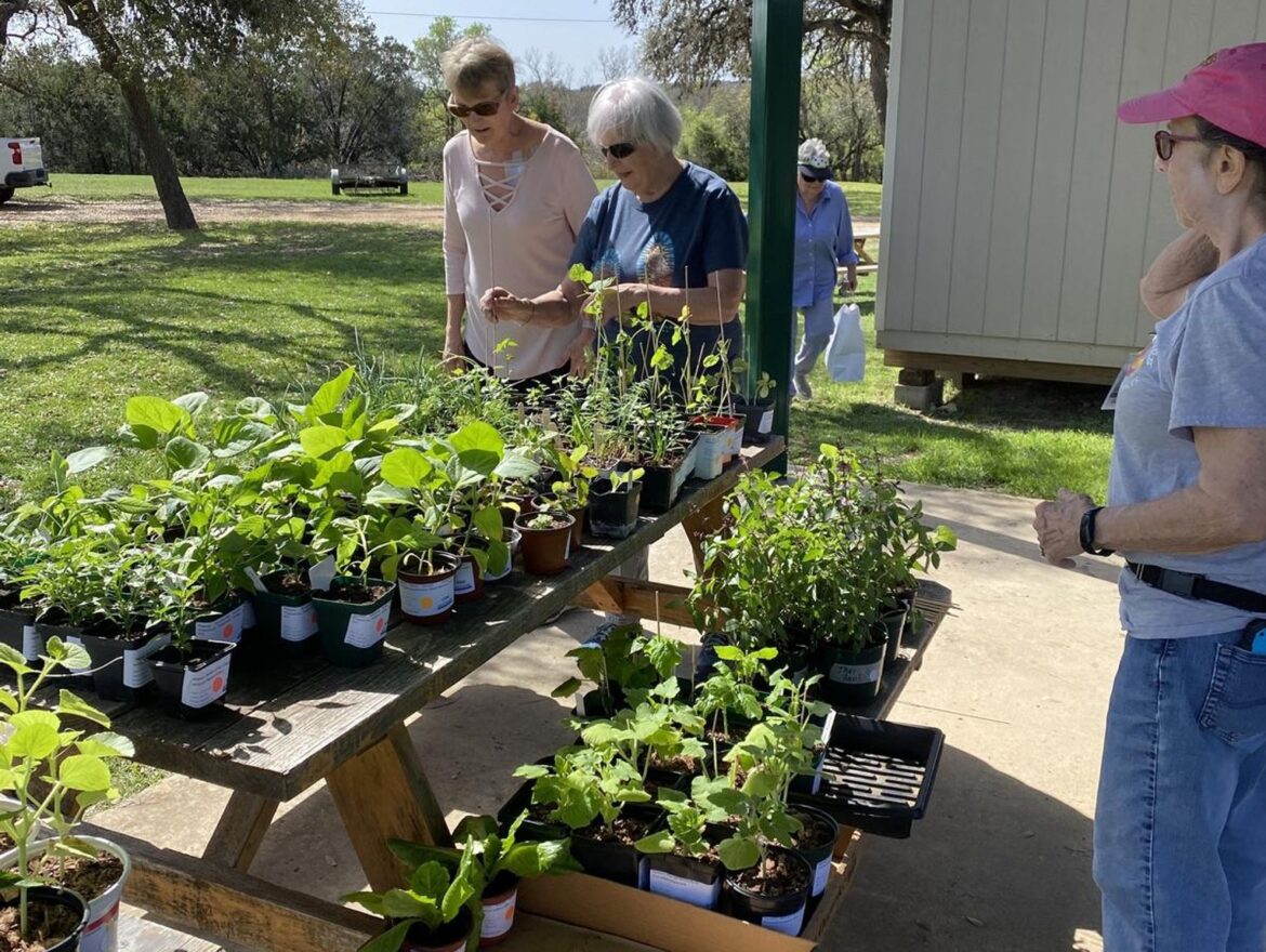 Master Gardeners to host Spring Plant and Tree Sale Master Gardeners to host Spring Plant and Tree Sale