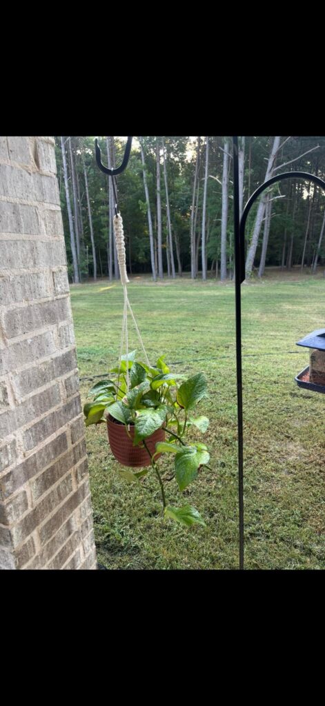 I have 1. I want them all.