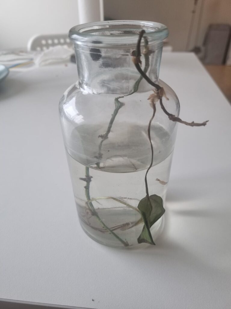 Is there any hope for this sad sad thing