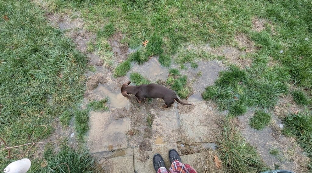 Would sand and barn lime be silly?