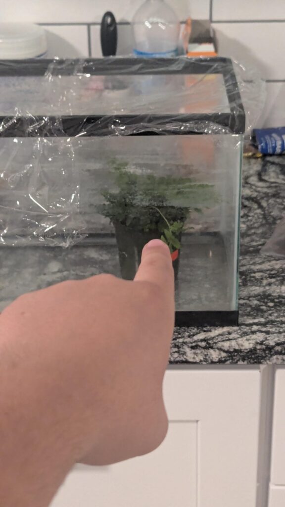 What could this indubitably be?