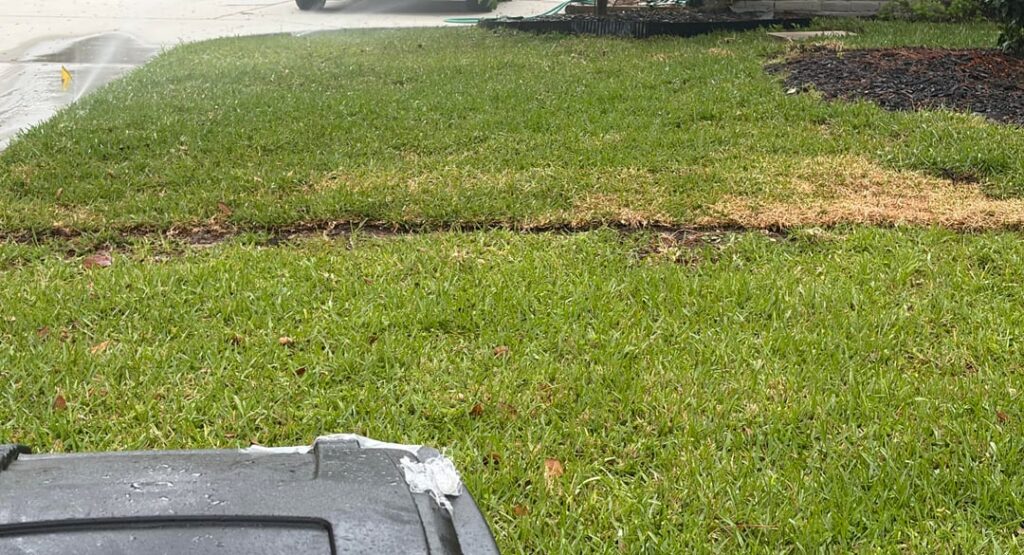Uneven Sod Question - Houston, TX, USA