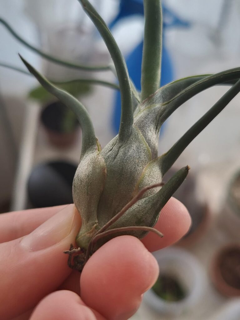 Are these wrinkles concerning?
