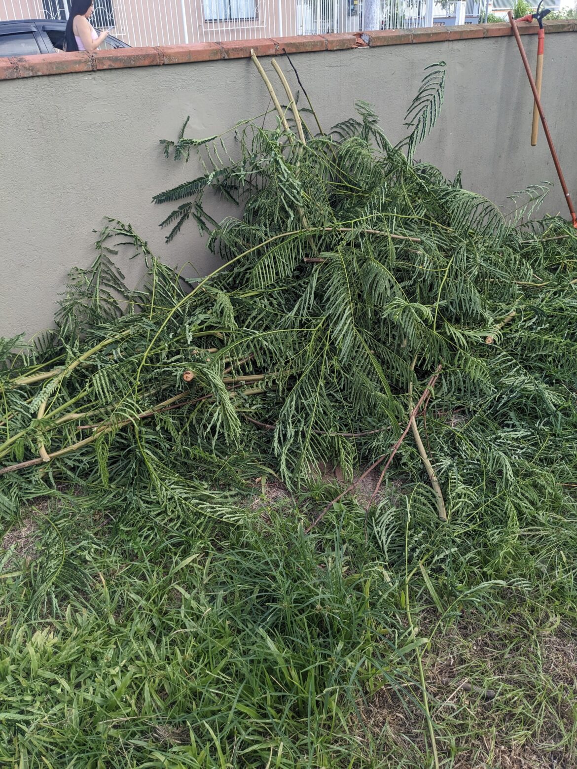 Is this composting material?