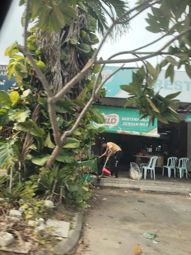 Giant pothos up areca palm 📍Selangor