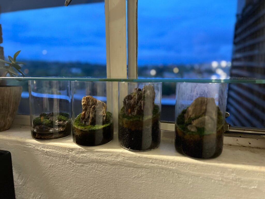 One lid to cover them all.