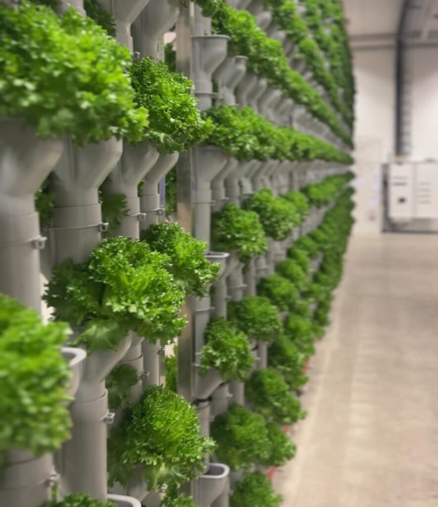 Hydroponics is awesome 💧