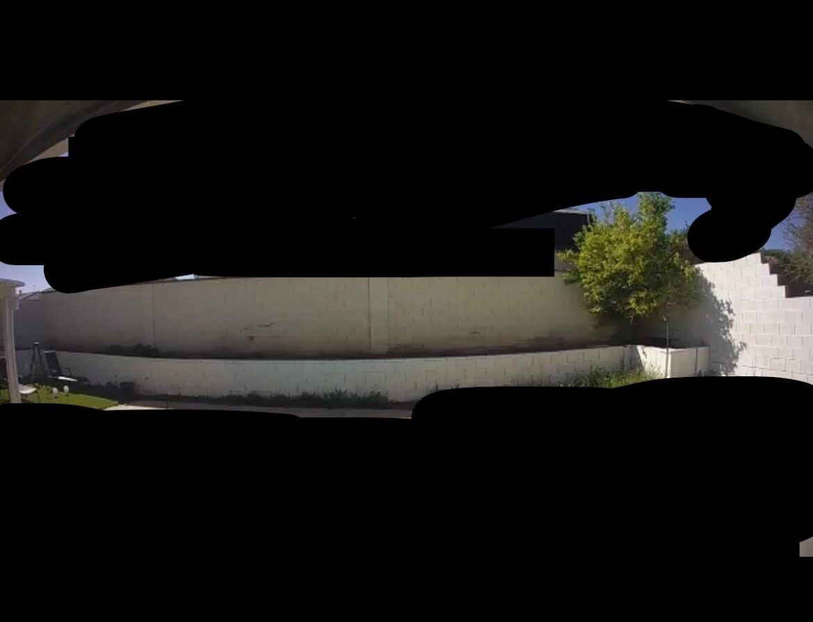 North facing wall, southern Nevada, what to plant?