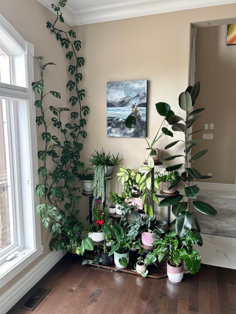 I may be developing a new obsession.