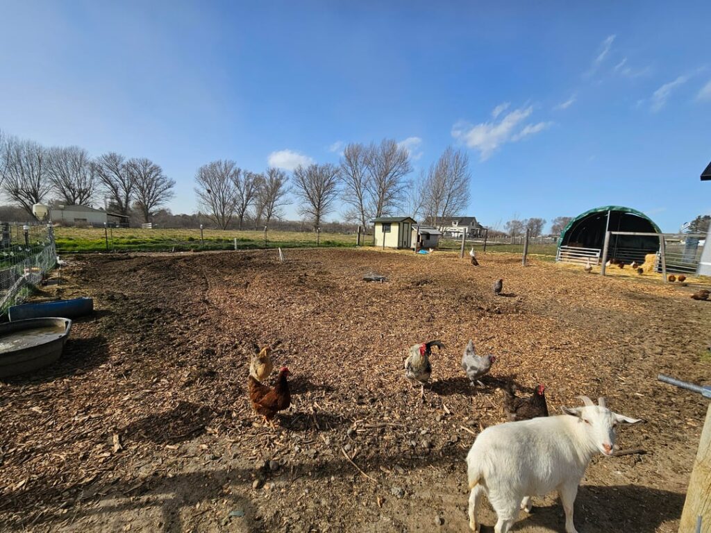 5,000SQFT Garden Coming Up