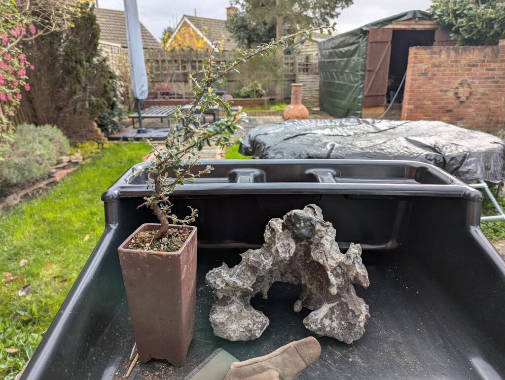 My very first attempt at creating a root-over(/on)-rock style... wish me luck!