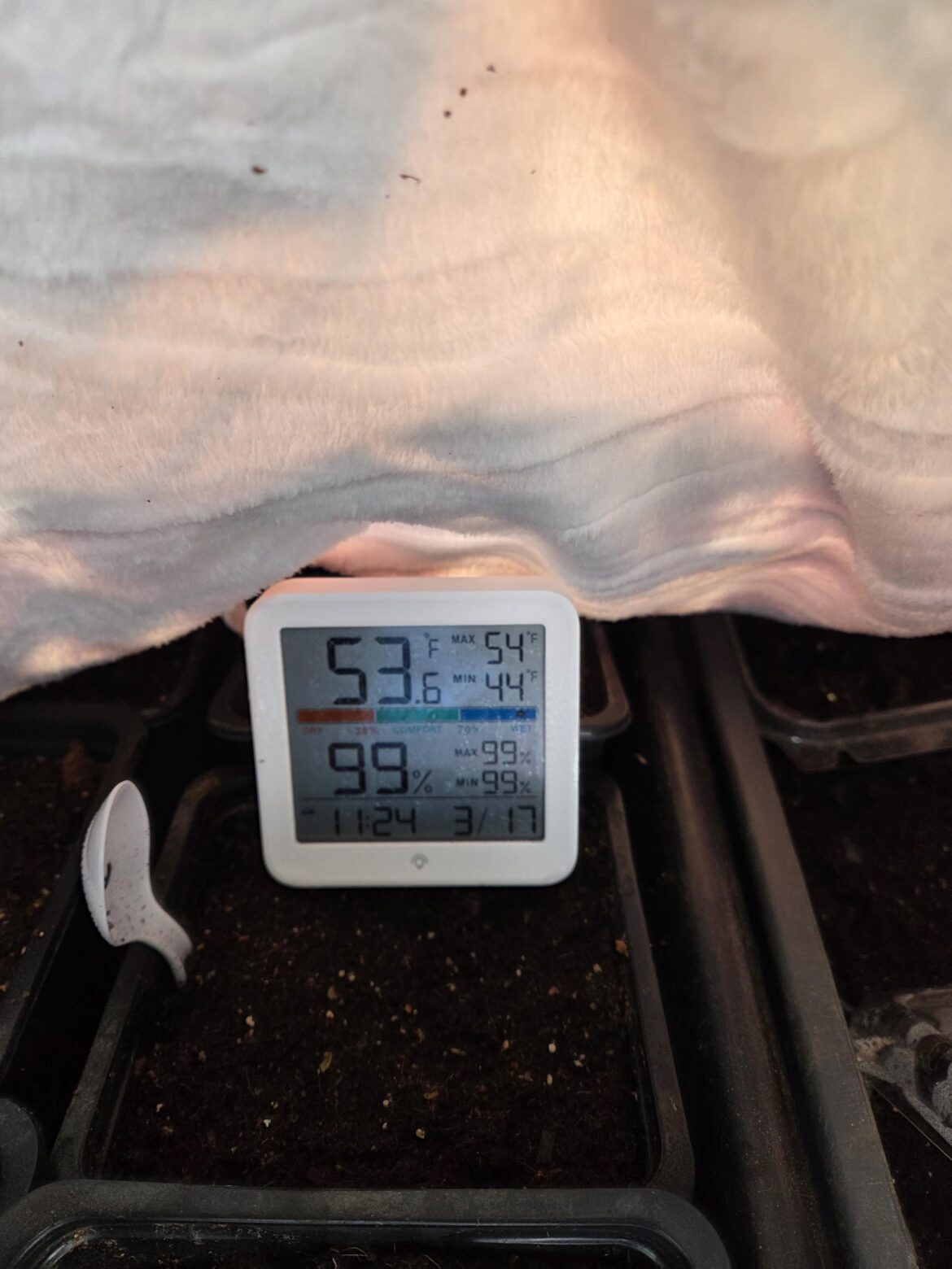 Staying warm in the icy greenhouse