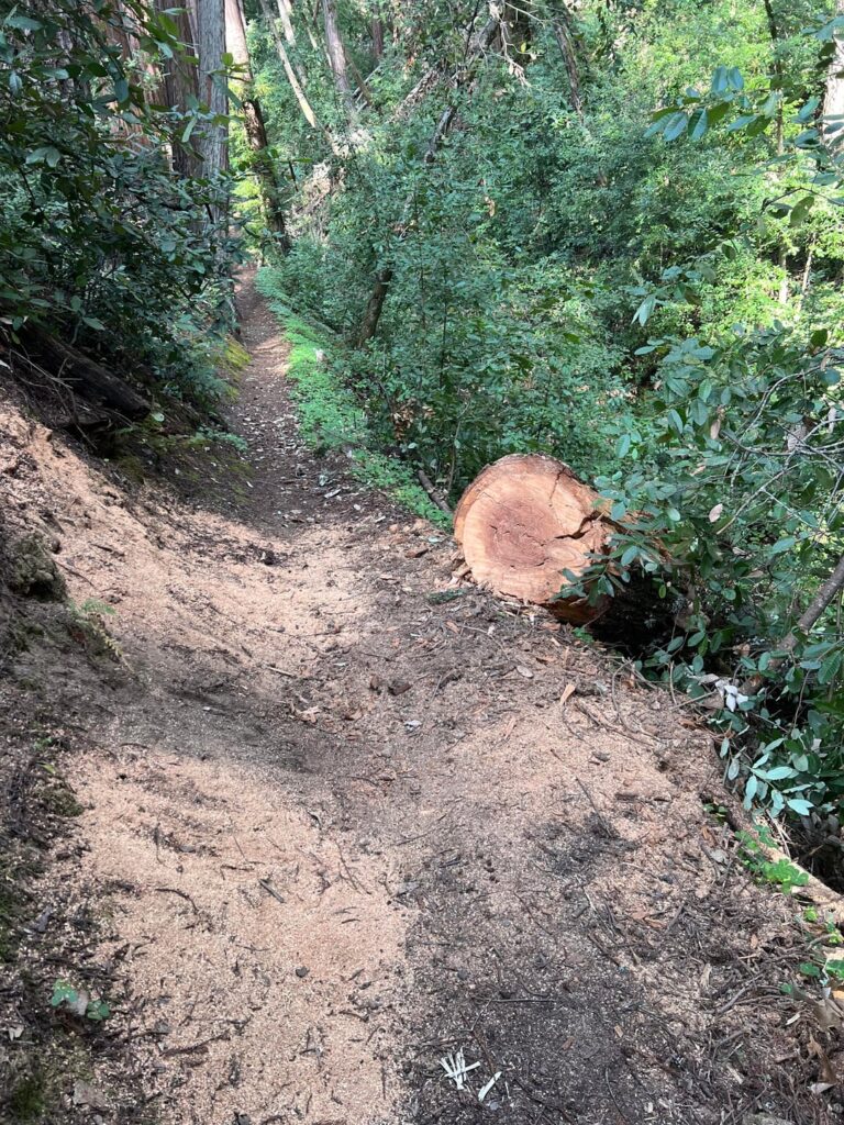 Update: they cleared the trail and it doesn’t look like anybody died! Update: they cleared the trail and it doesn’t look like anybody died!