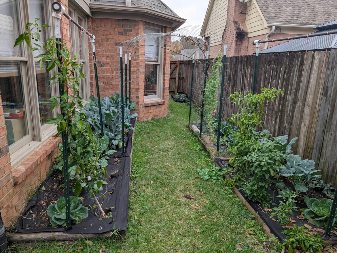 Irrigation system recommendations