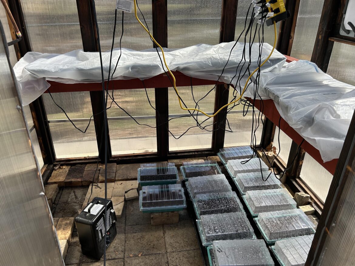 Greenhouse is packed! Zone 6b. Greenhouse is packed! Zone 6b.